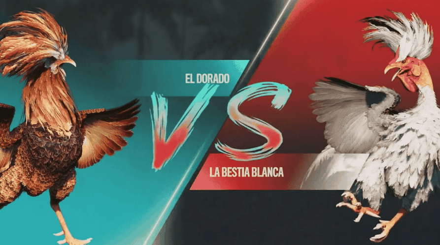 top88 plataforma oficial